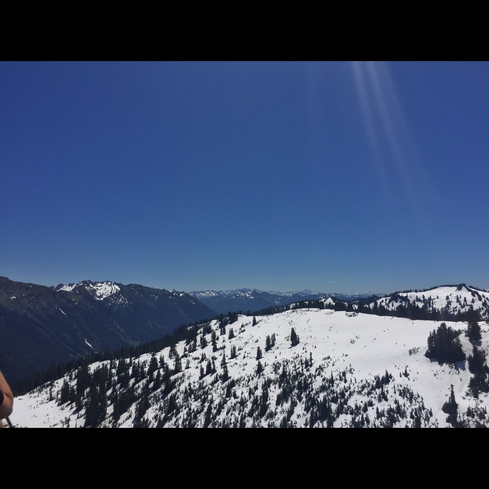 Meet your Posher, Chelsea